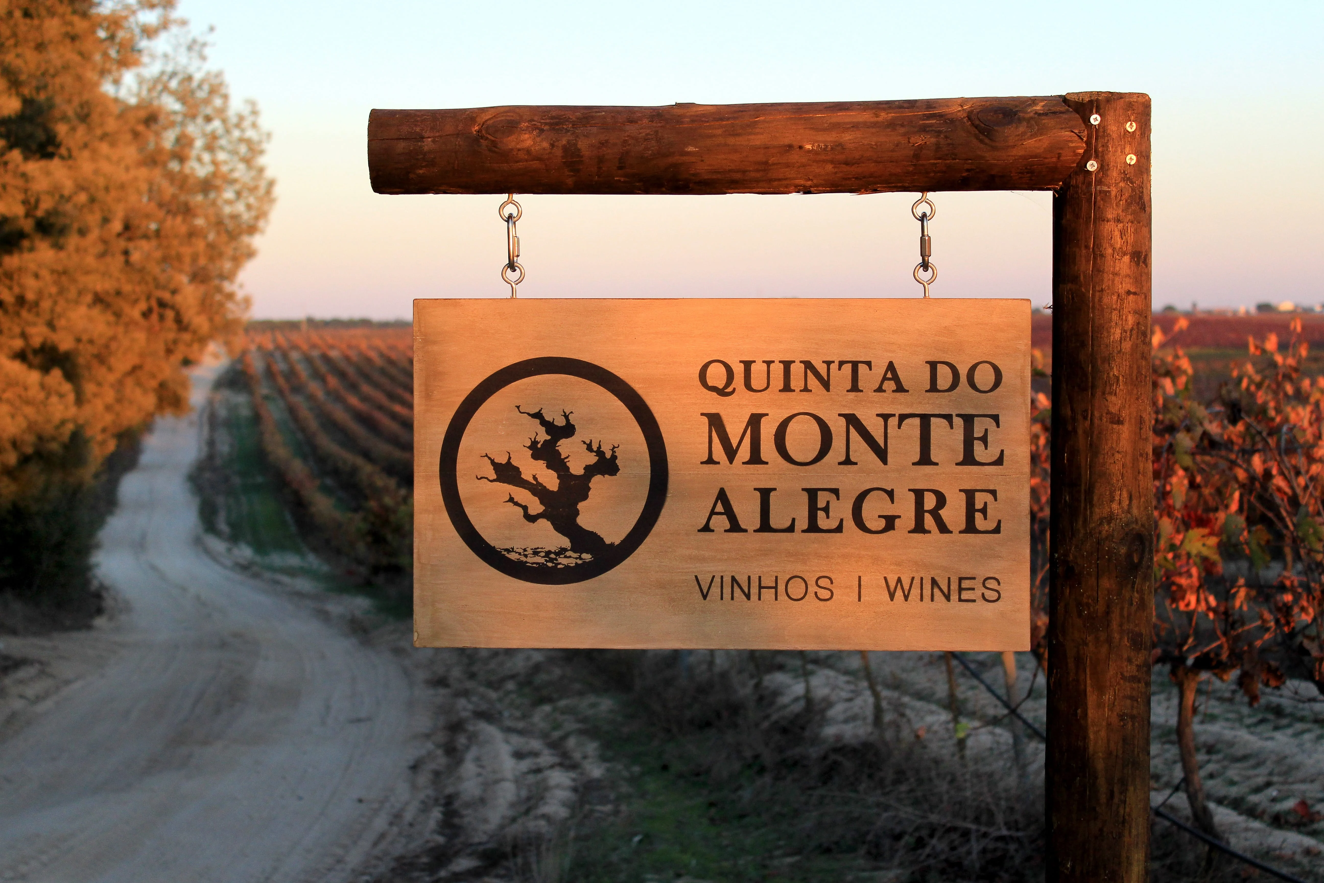 Quinta do Monte Alegre – Prova & Visita Guiada