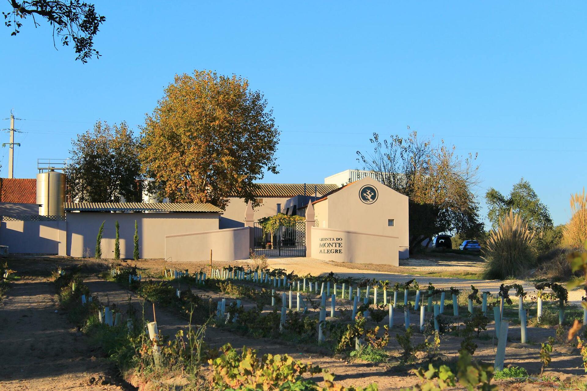 Quinta do Monte Alegre – Prova & Visita Guiada