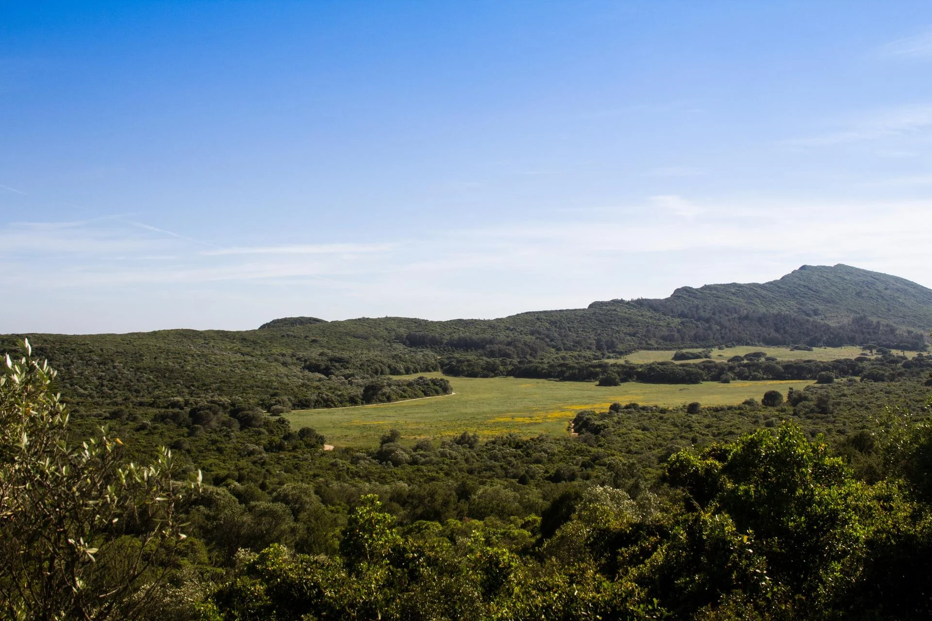 Vinhos no Parque Nacional da Arrábida