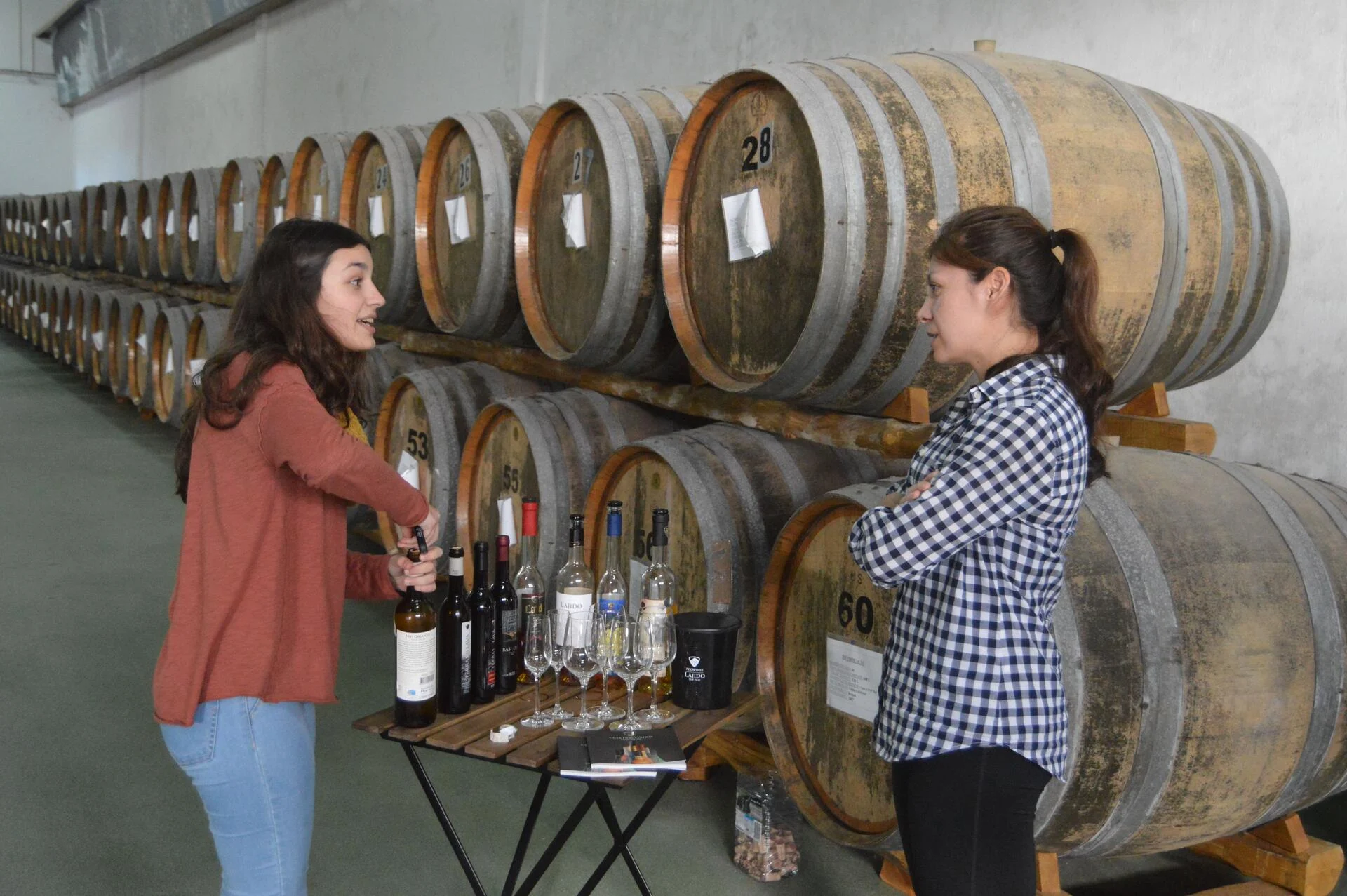 Pico Wine Tour – Privado