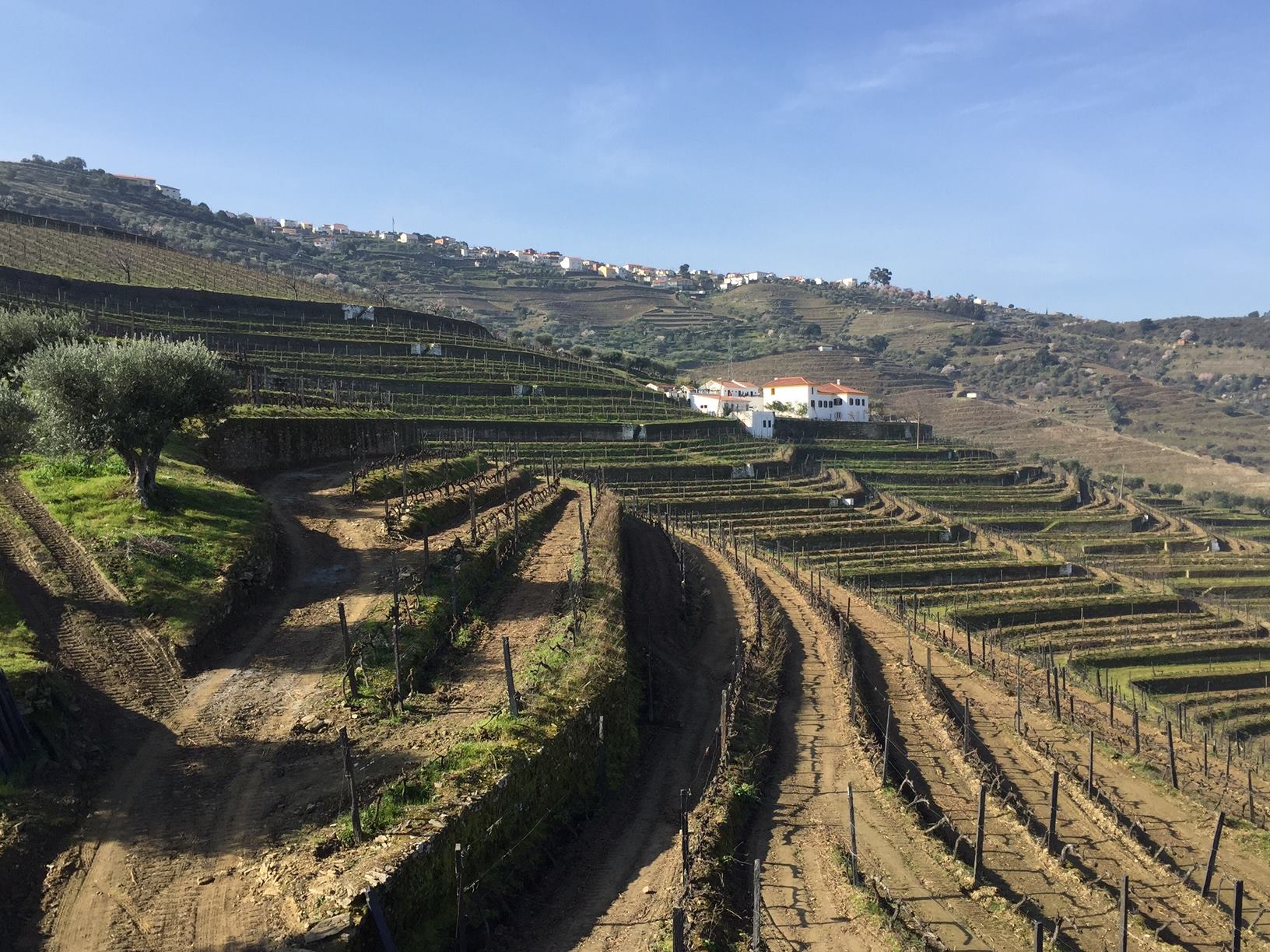 Quinta da Côrte – Visita & Prova Créative