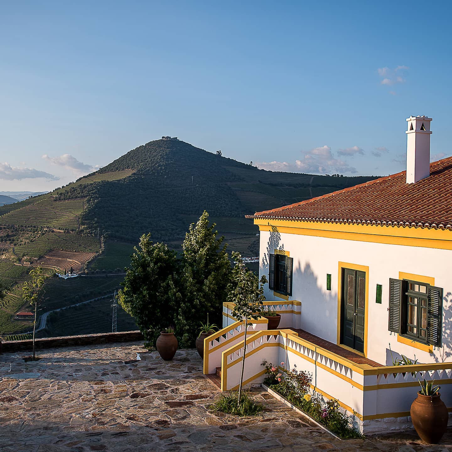 Quinta da Côrte – Visita & Prova Premium