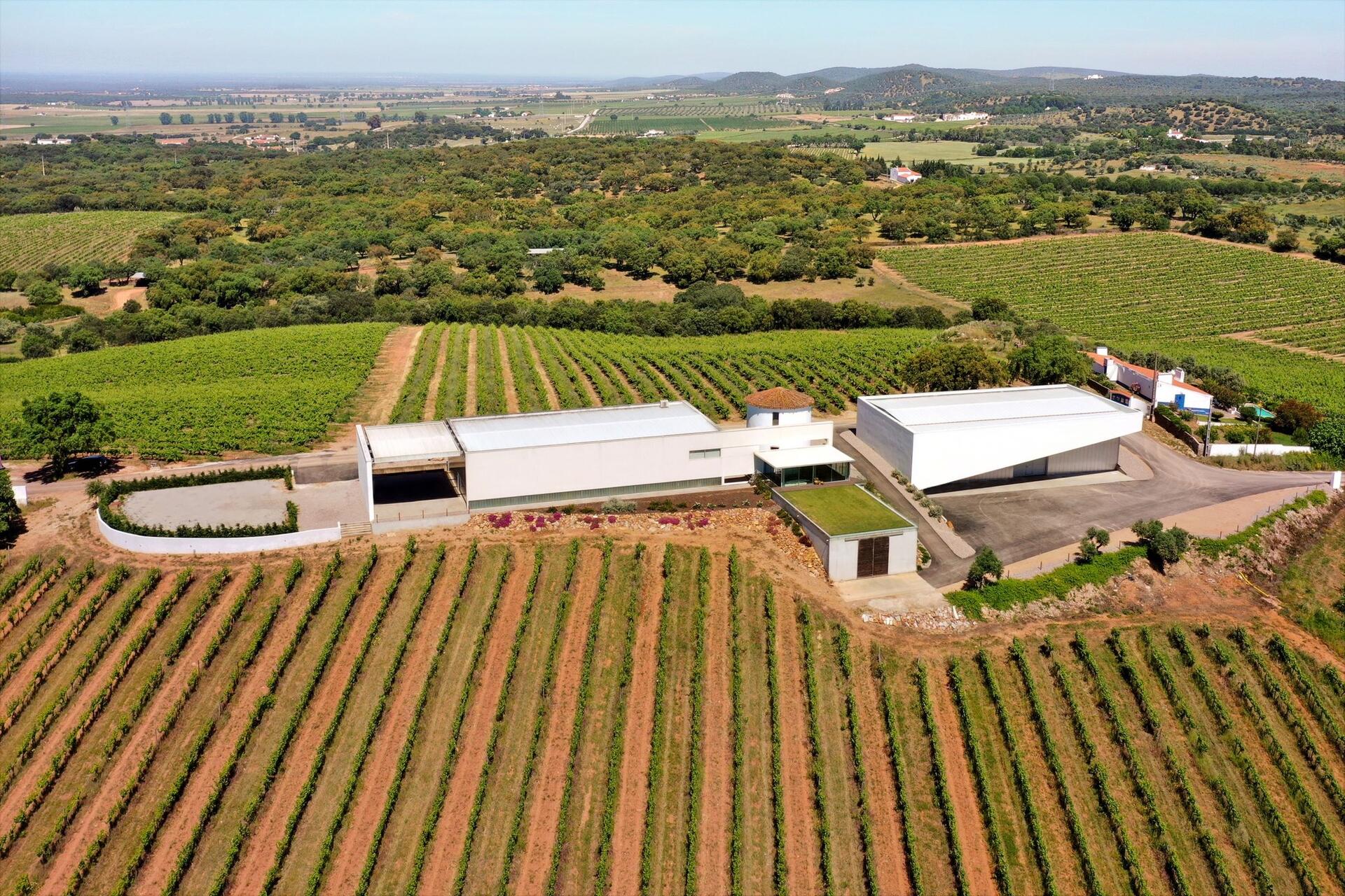 Adega Monte Branco – Almoço & Prova Vínica