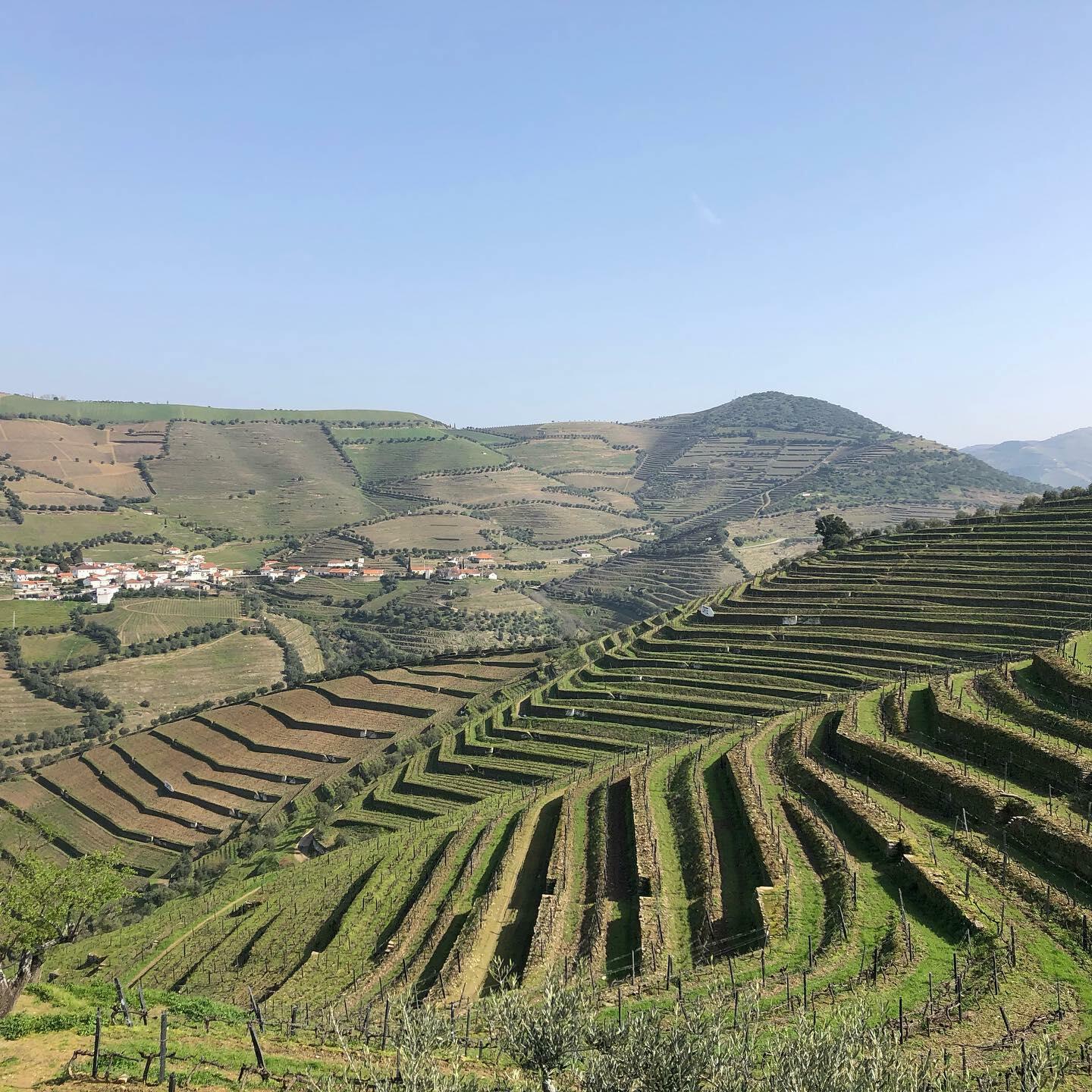 Quinta da Côrte – Visita & Prova Expert