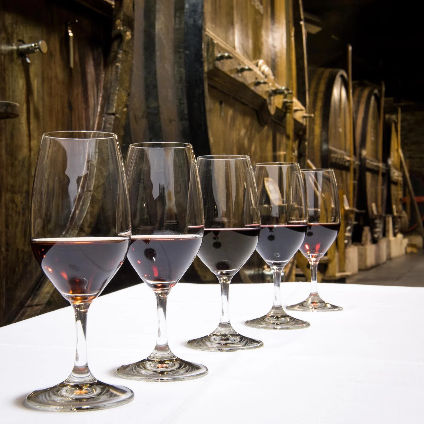 Quinta da Côrte – Visita & Prova Expert