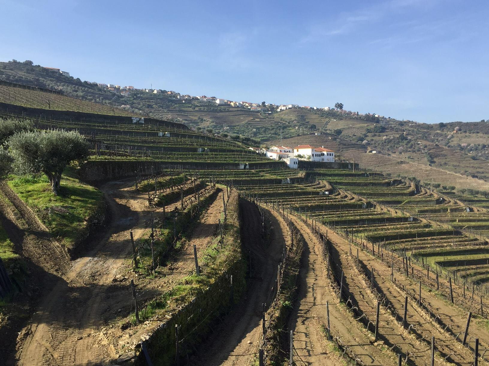 Quinta da Côrte – Visita & Almoço Regional