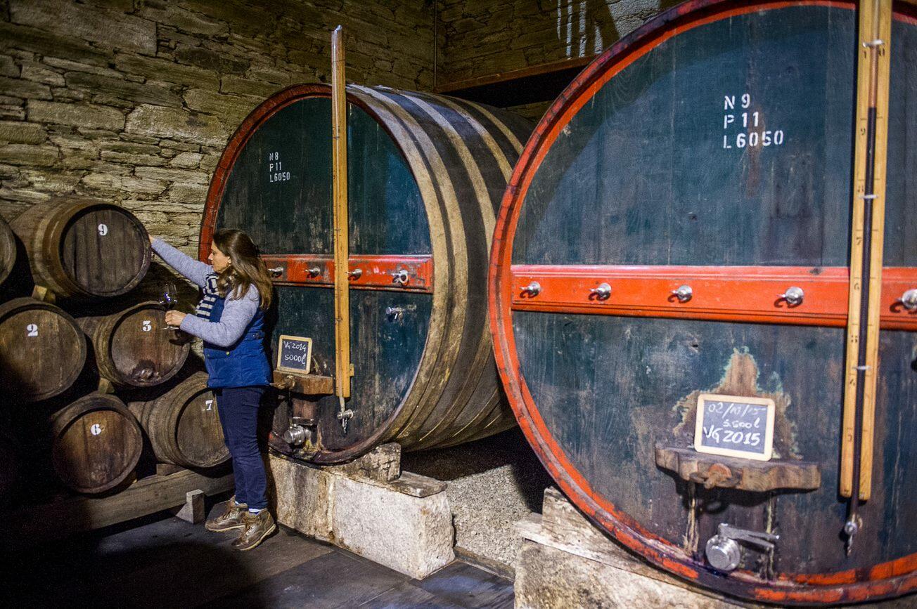 Quinta da Côrte – Visita & Almoço Regional