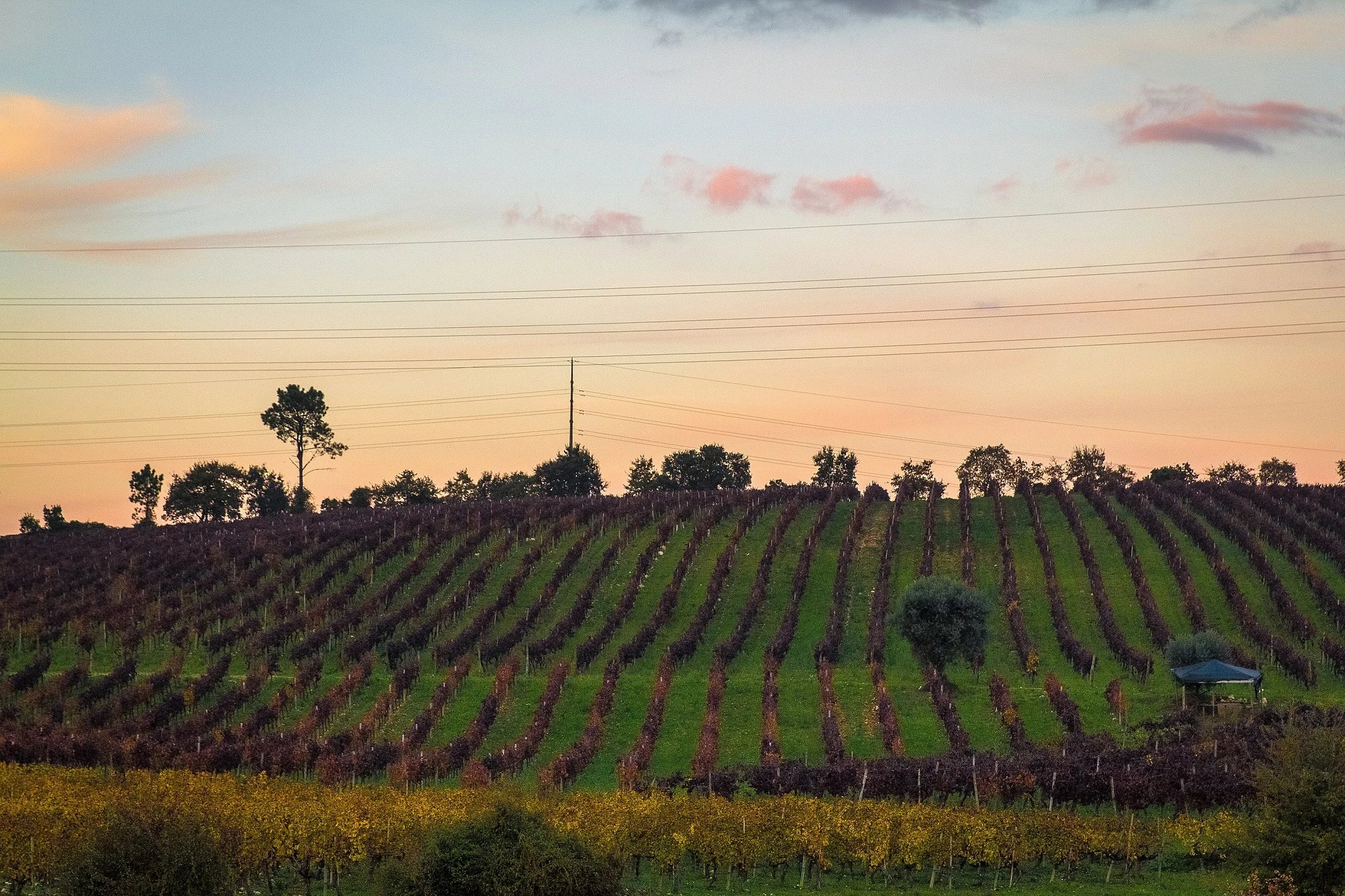 Bairrada Exclusive Experience