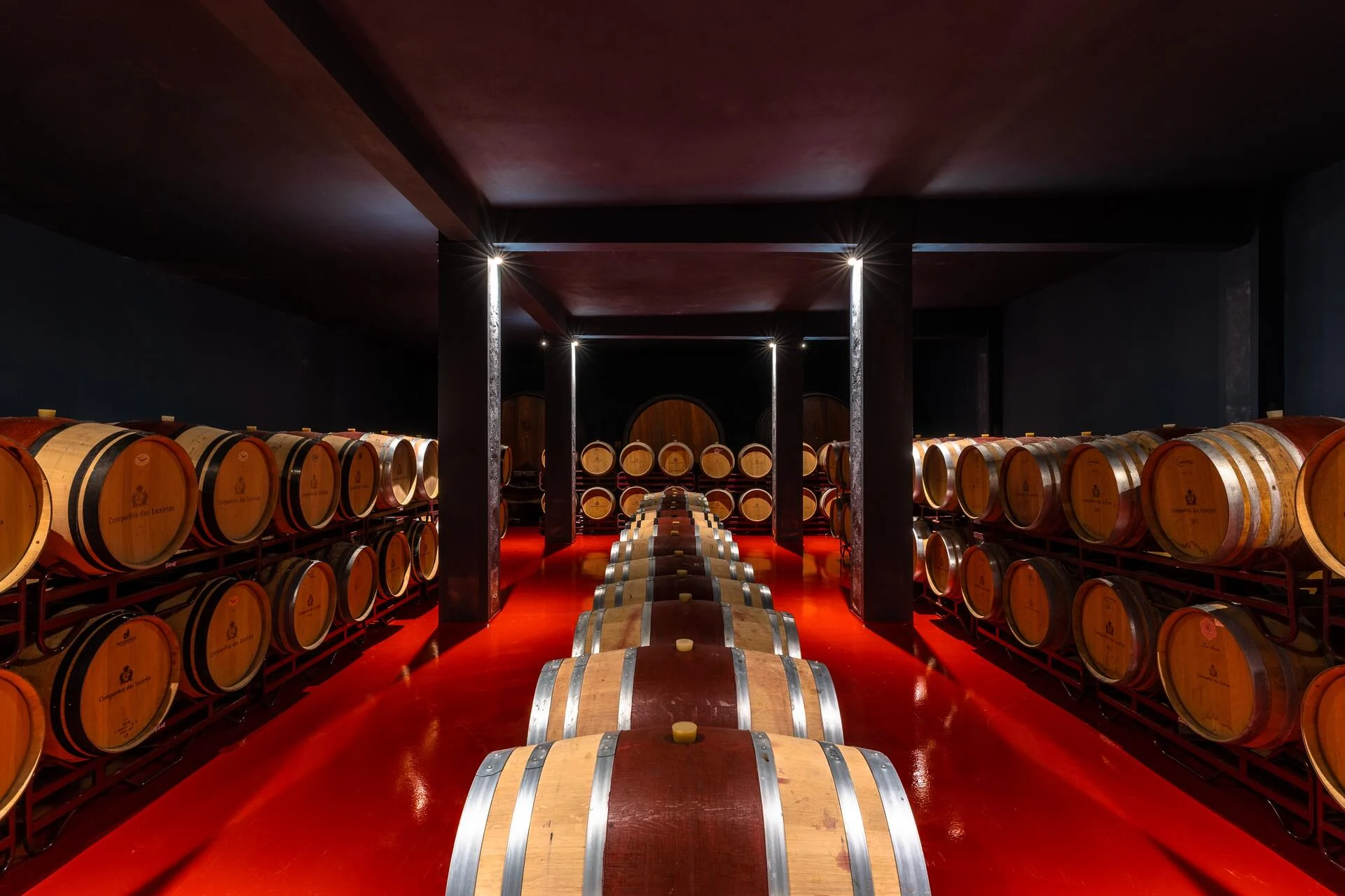 Companhia das Lezírias – À Descoberta do Terroir