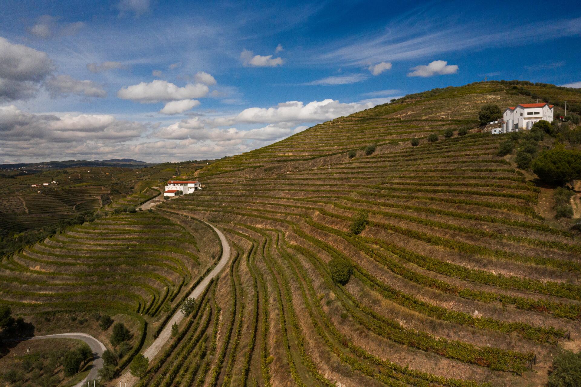 Quinta da Pedra Alta – Visita & Prova Clássica