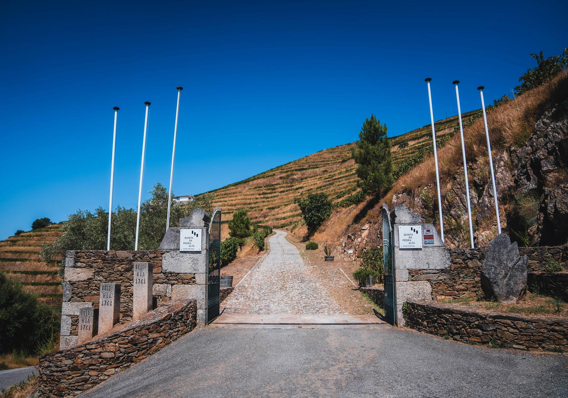 Quinta da Pedra Alta – Visita & Prova Clássica