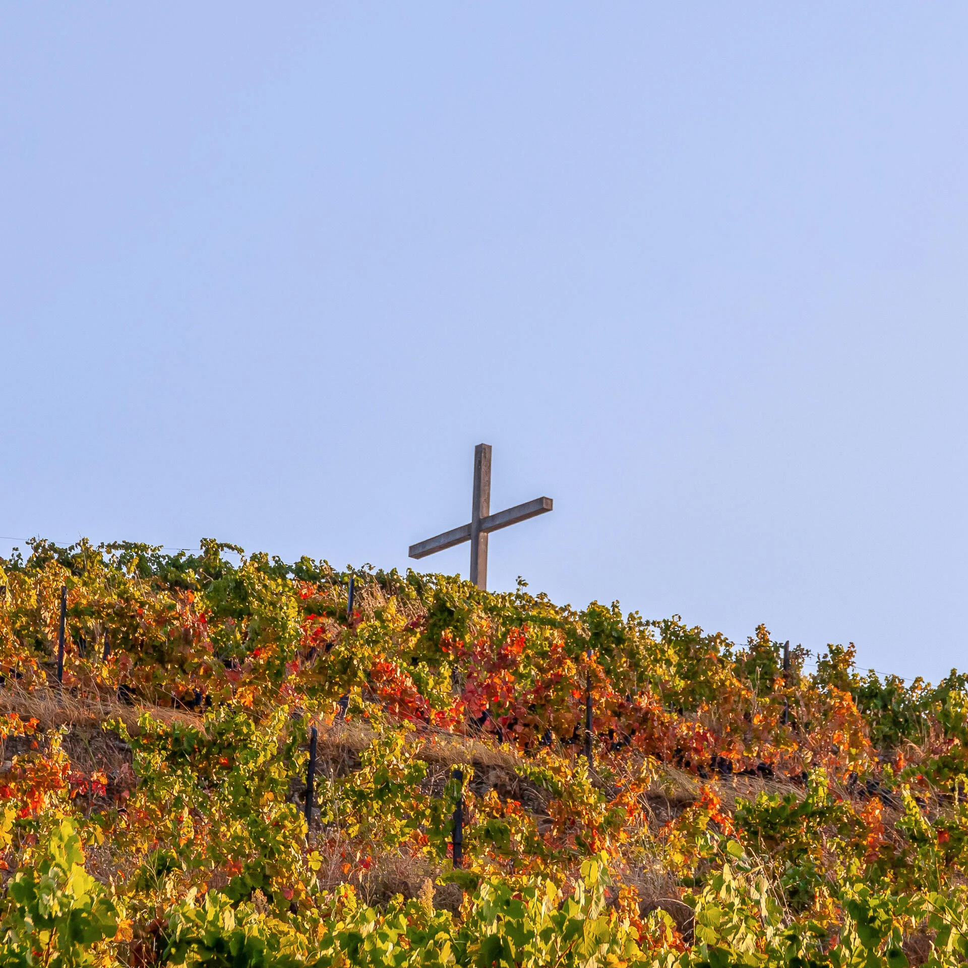 Quinta da Pedra Alta – Visita & Prova Premium