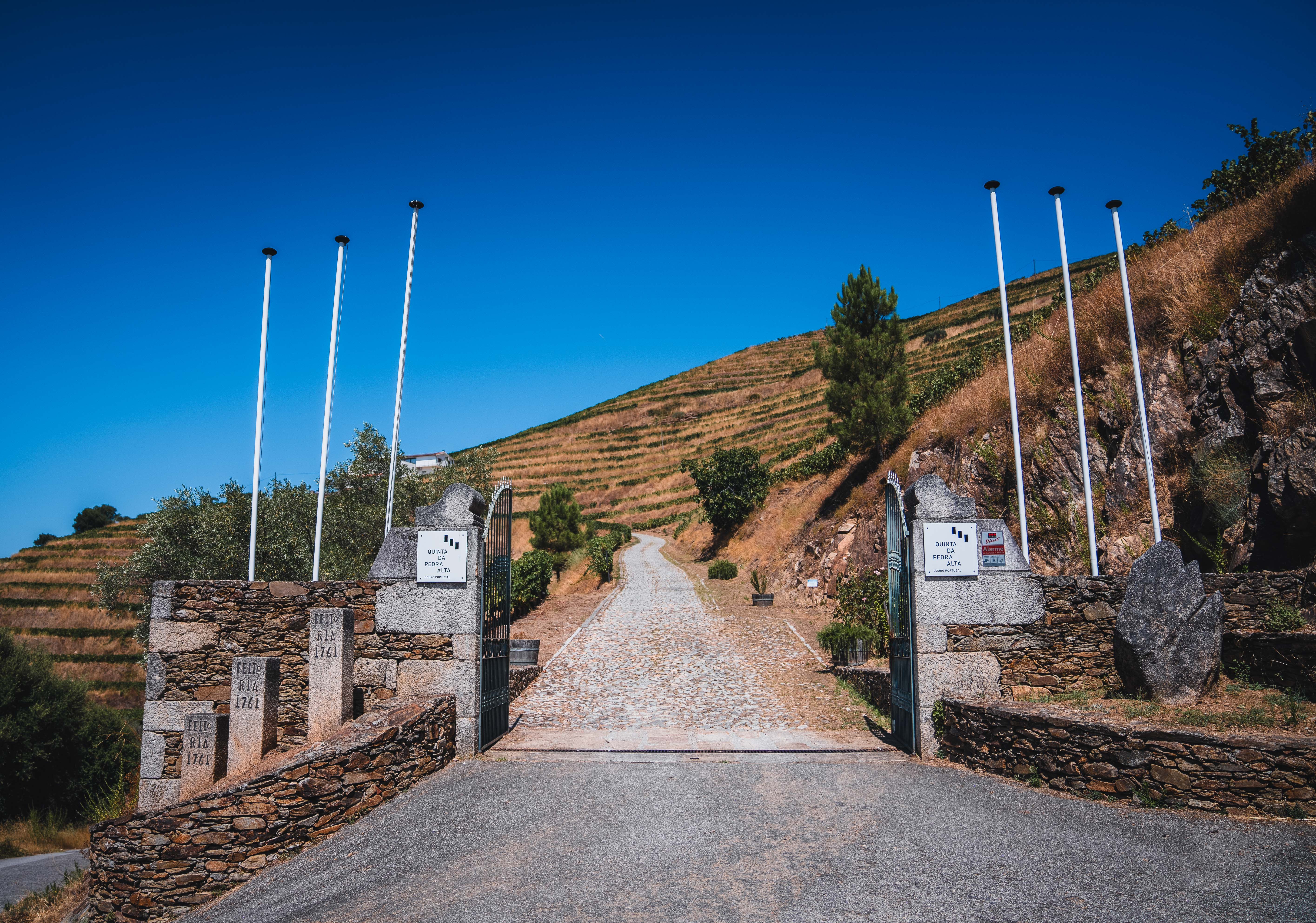 Quinta da Pedra Alta – Visita & Prova Premium