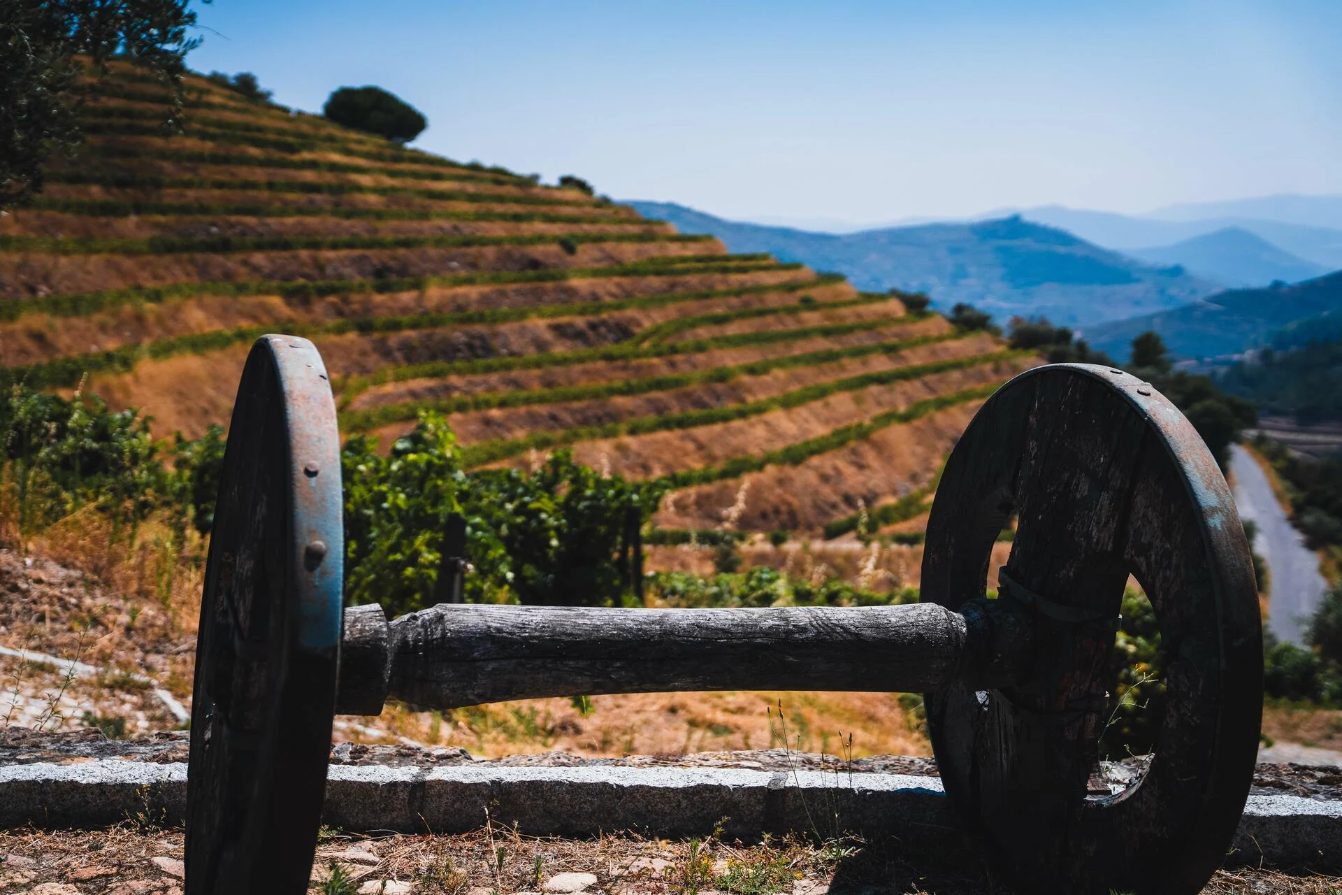 Quinta da Pedra Alta – Visita & Prova Iconic