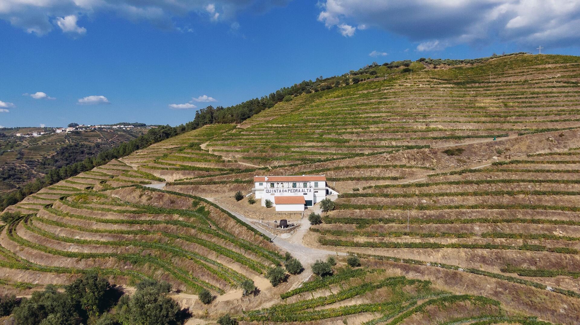 Quinta da Pedra Alta – Visita & Prova Iconic
