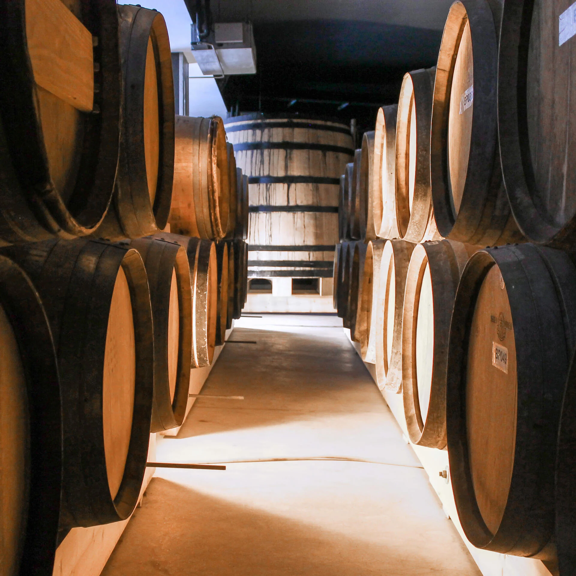 Quinta da Pedra Alta – Visita & Prova Iconic