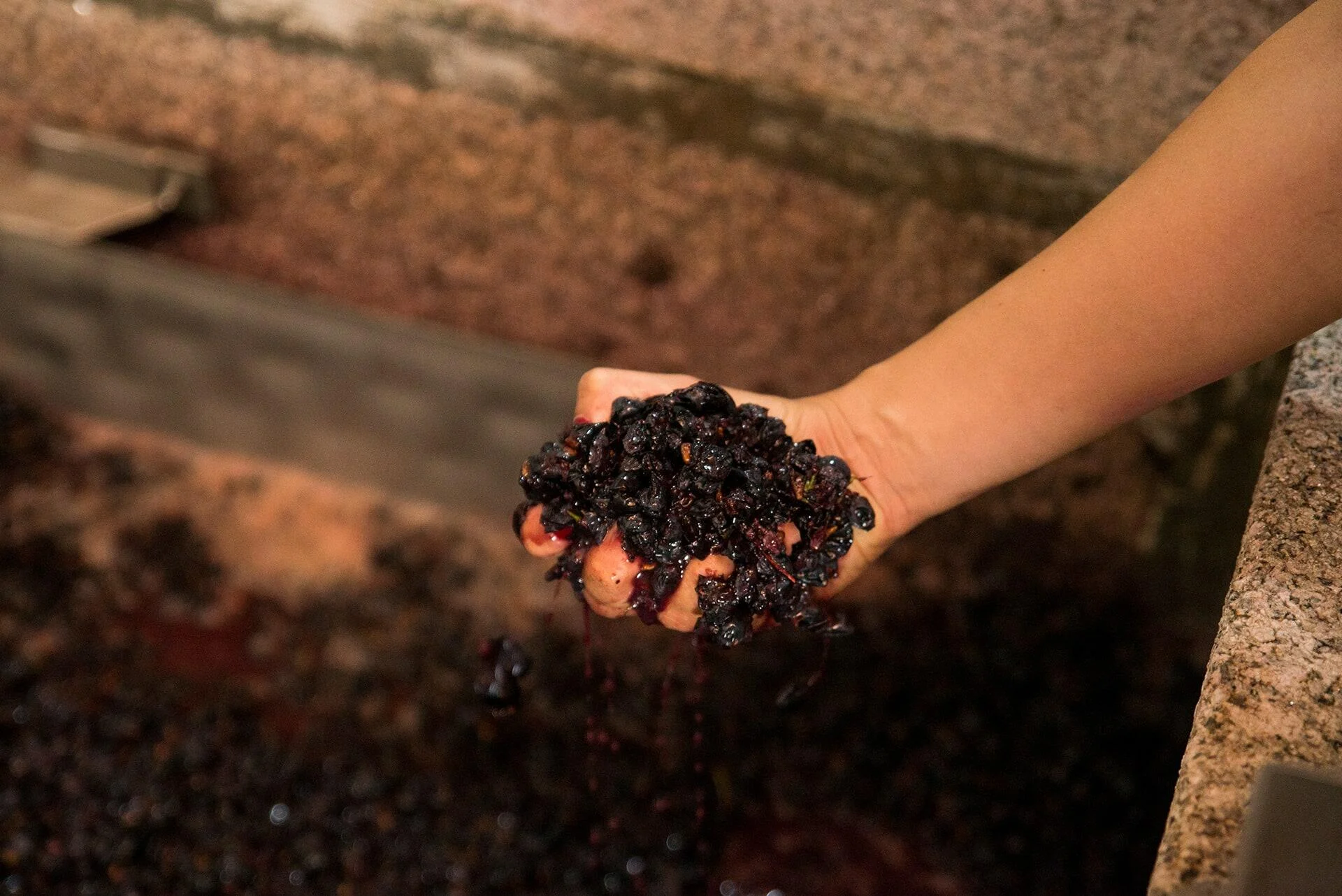 Quinta Vale do Sabor – Prova Vinhas