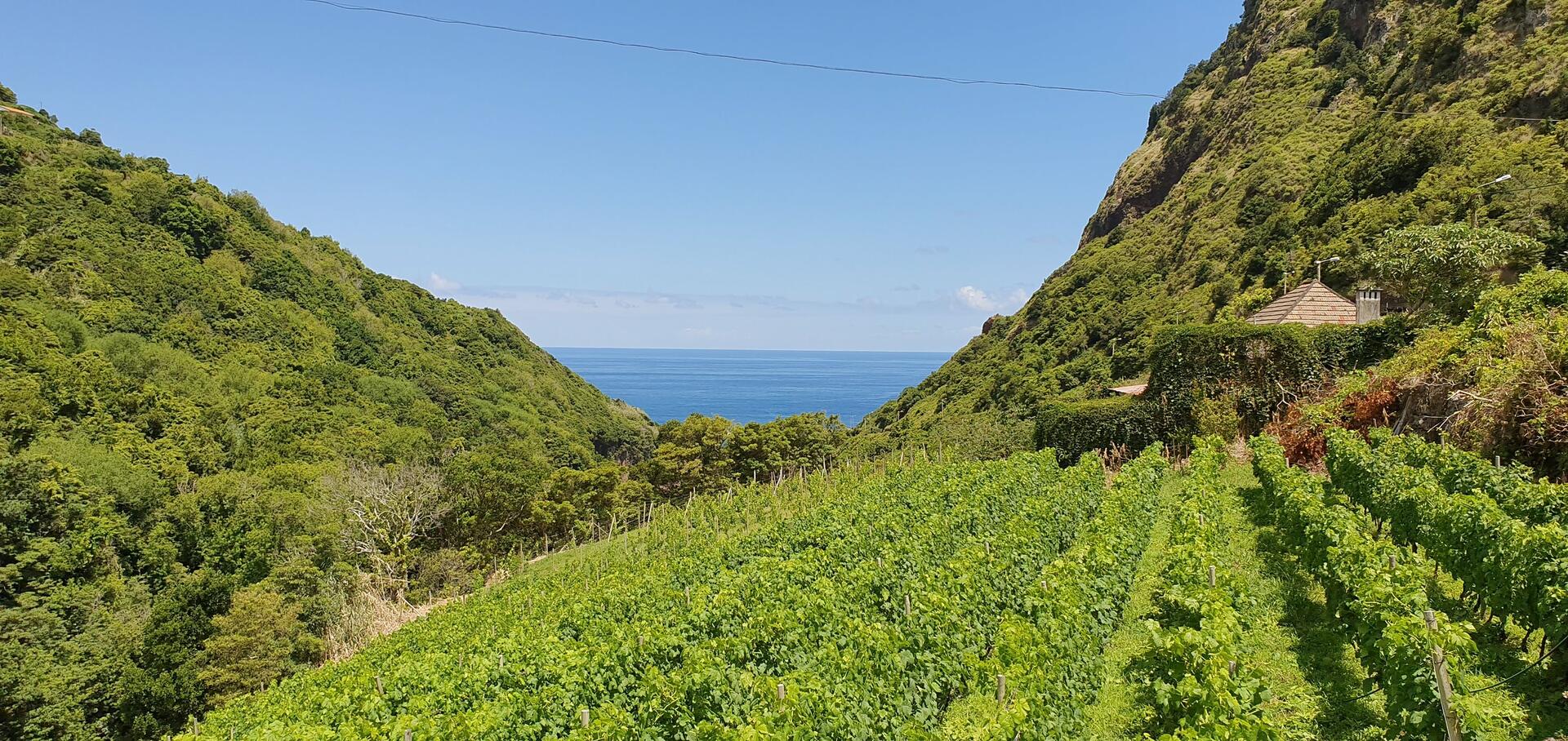 Terrabona – Winery Tasting Moments