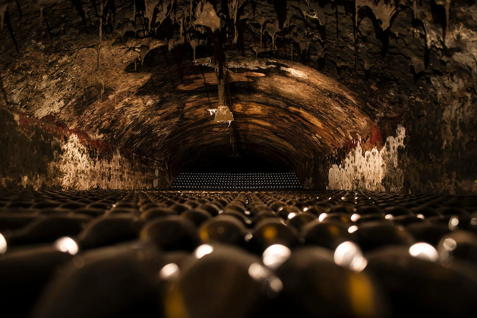 Caves São Domingos – Visita & Prova Baga Bairrada