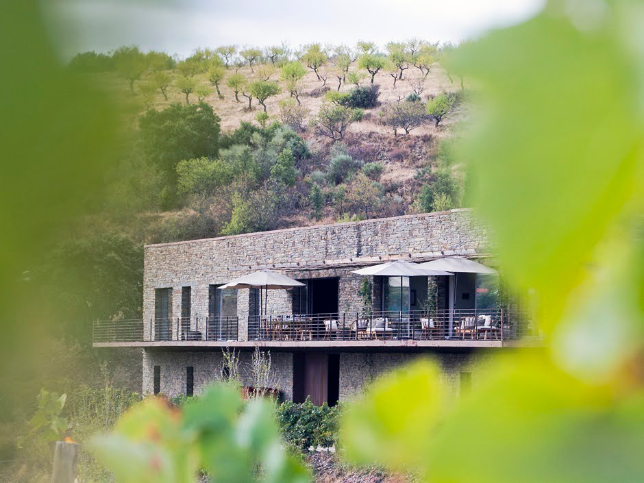 Quinta Vale do Sabor – Prova Vinhas