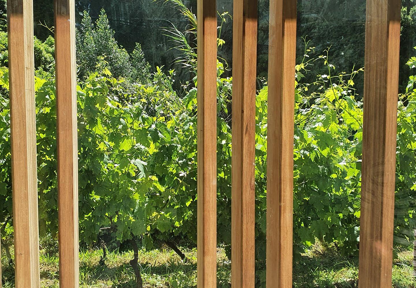 Terrabona – Vineyards Private Moments