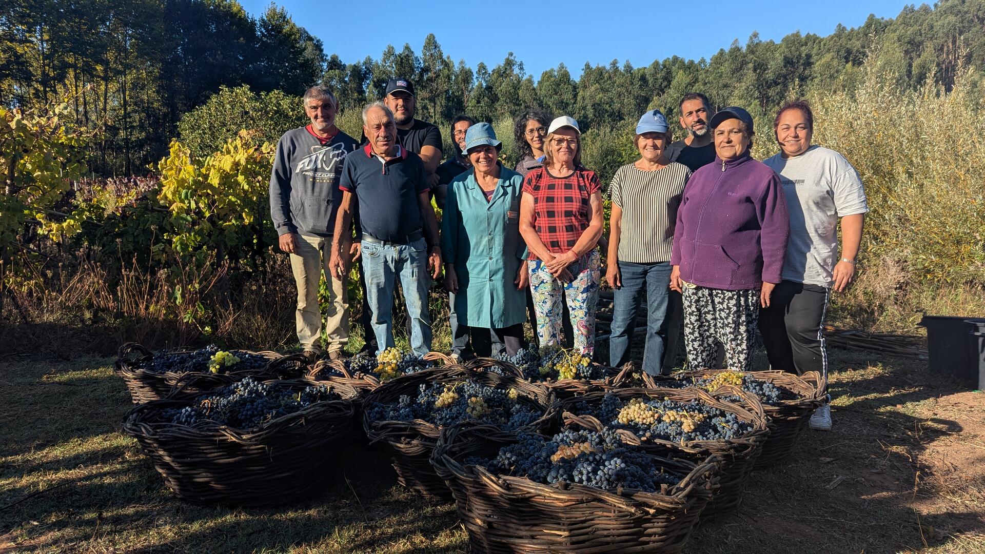 Adega Malápio – Um Dia na Vindima