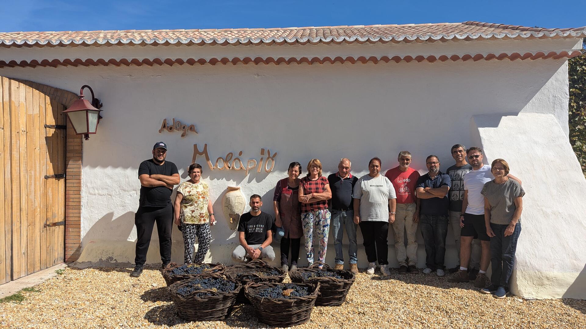 Adega Malápio – Um Dia na Vindima