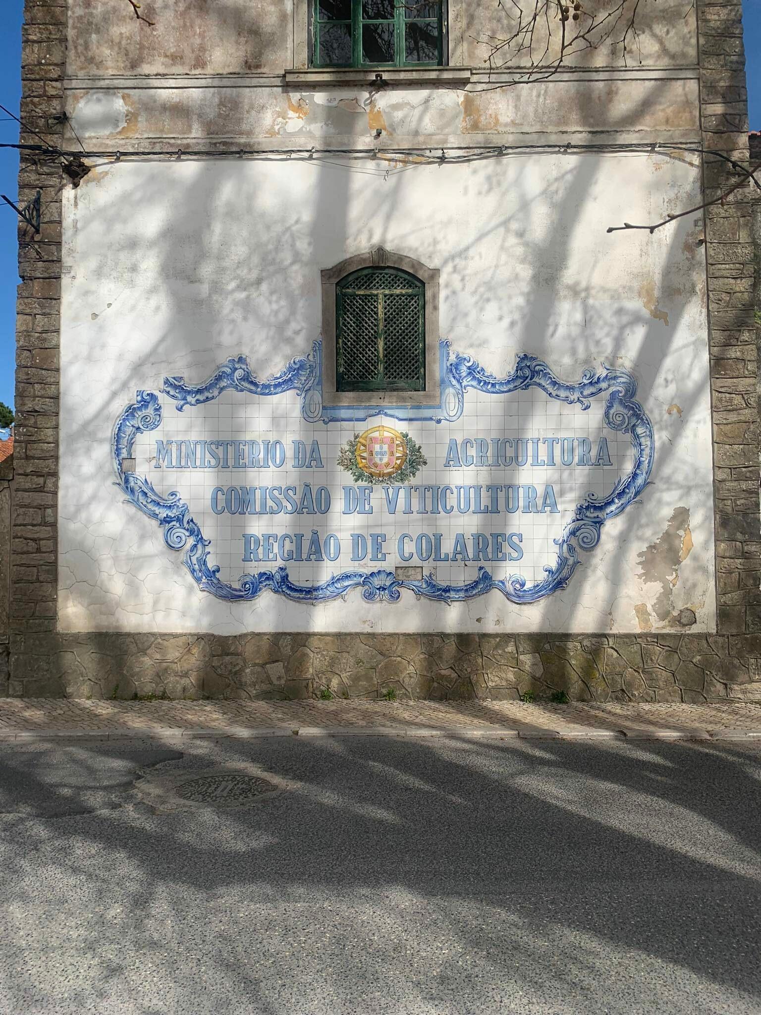 Adega de Colares – Prova Vertical Brancos de Areia