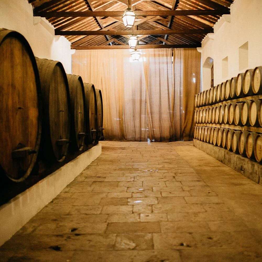 Quinta de Sant’Ana – Wine Lover