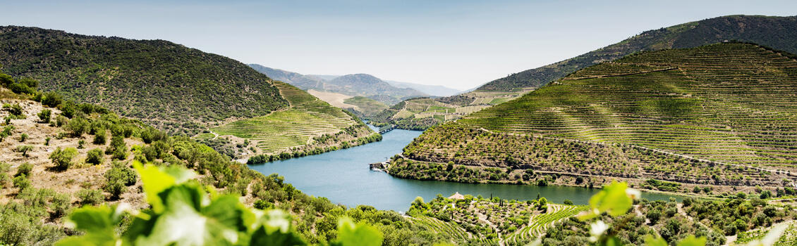 Régua – Barca de Alva – Régua| Subida