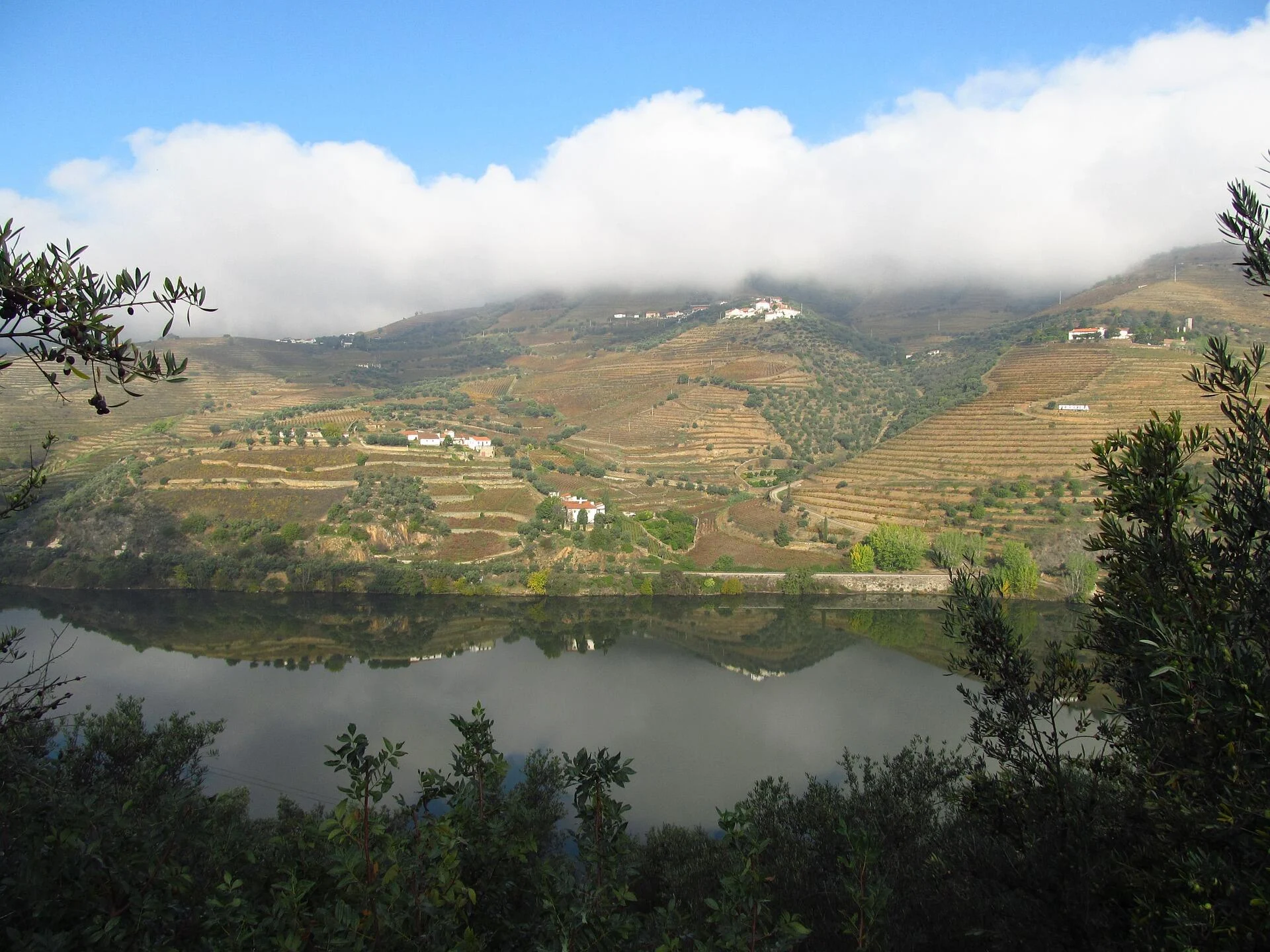 Tour Privado Premium ao Vale do Douro