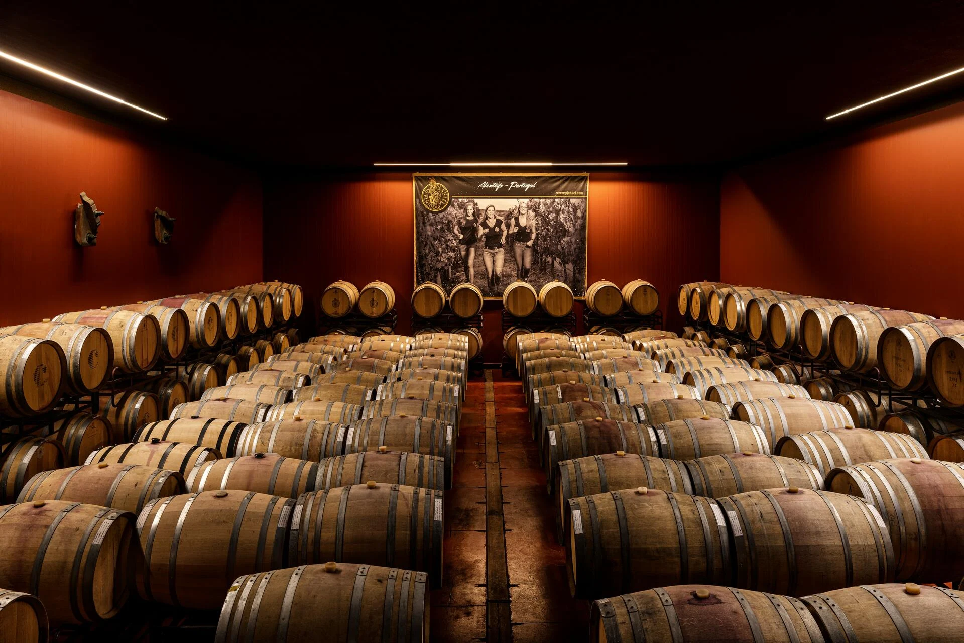 Quinta da Plansel – Visita & Prova Monocastas