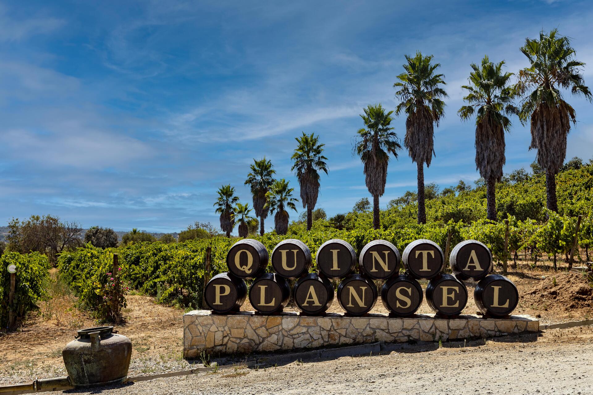 Quinta da Plansel – Visita & Prova Premium