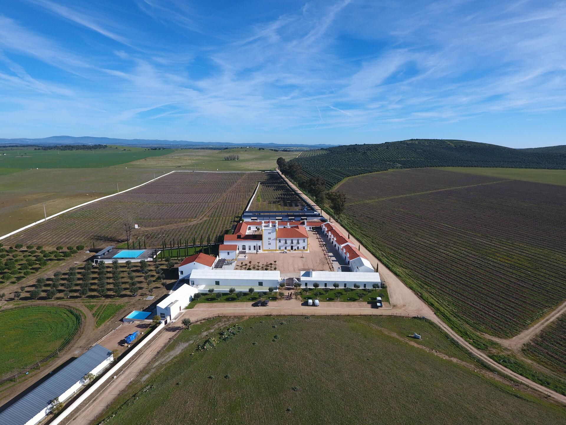 Torre de Palma – Visita, Prova & Petiscos