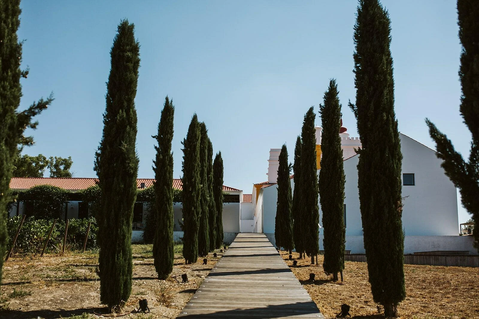 Torre de Palma – Visita & Almoço “Vinhos à Mesa”