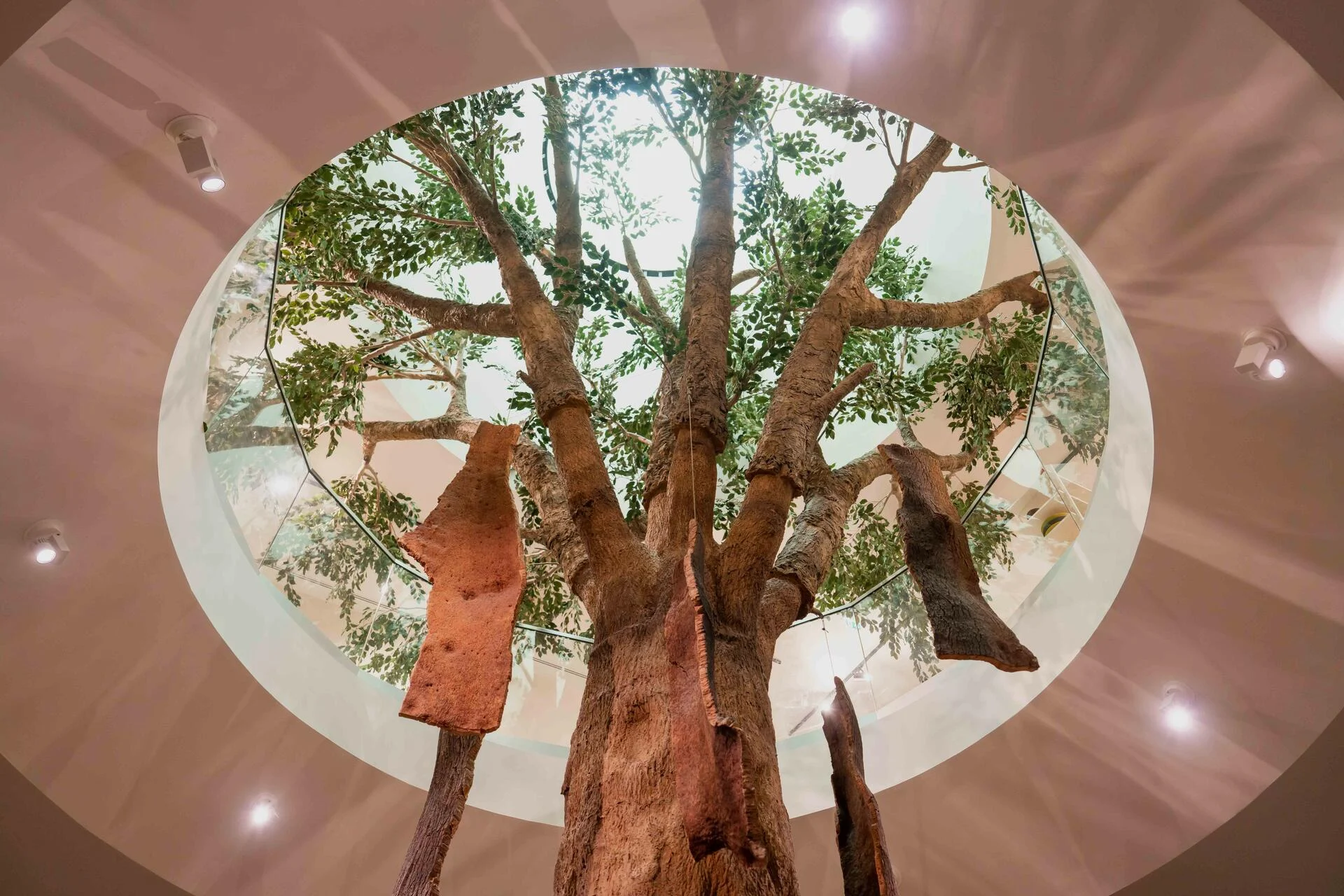 Caves Fonseca & Museu WOW