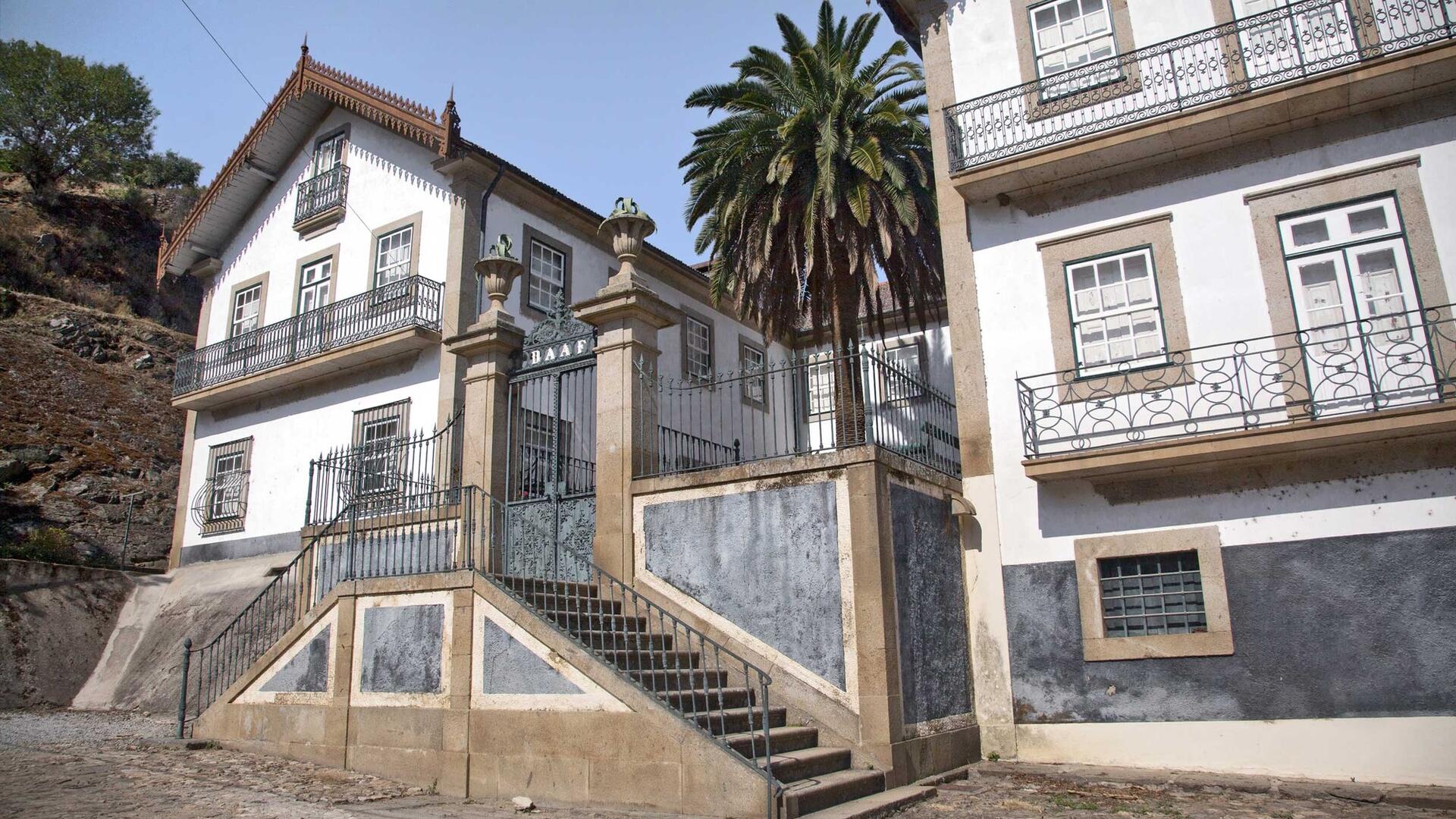 Quinta do Vesúvio – Experiência Exclusiva