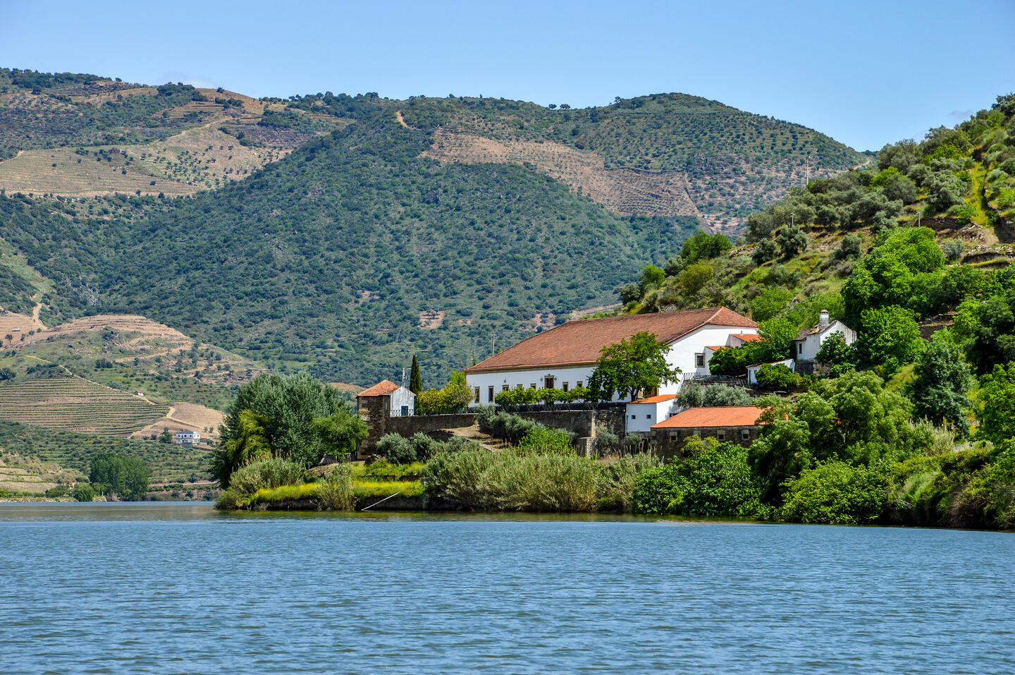 Quinta do Vesúvio – Experiência Exclusiva