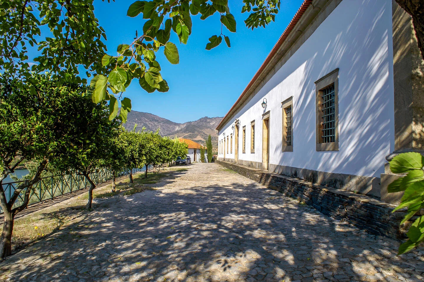 Quinta do Vesúvio – Experiência Exclusiva