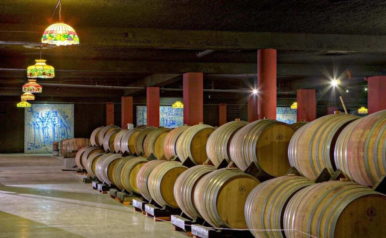 Tour Privado à Bairrada