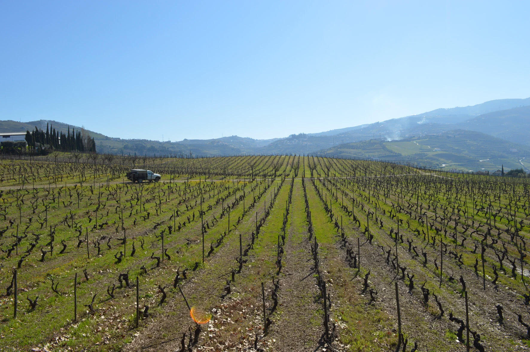 Quinta da Pacheca – Red Grape Bath for 2