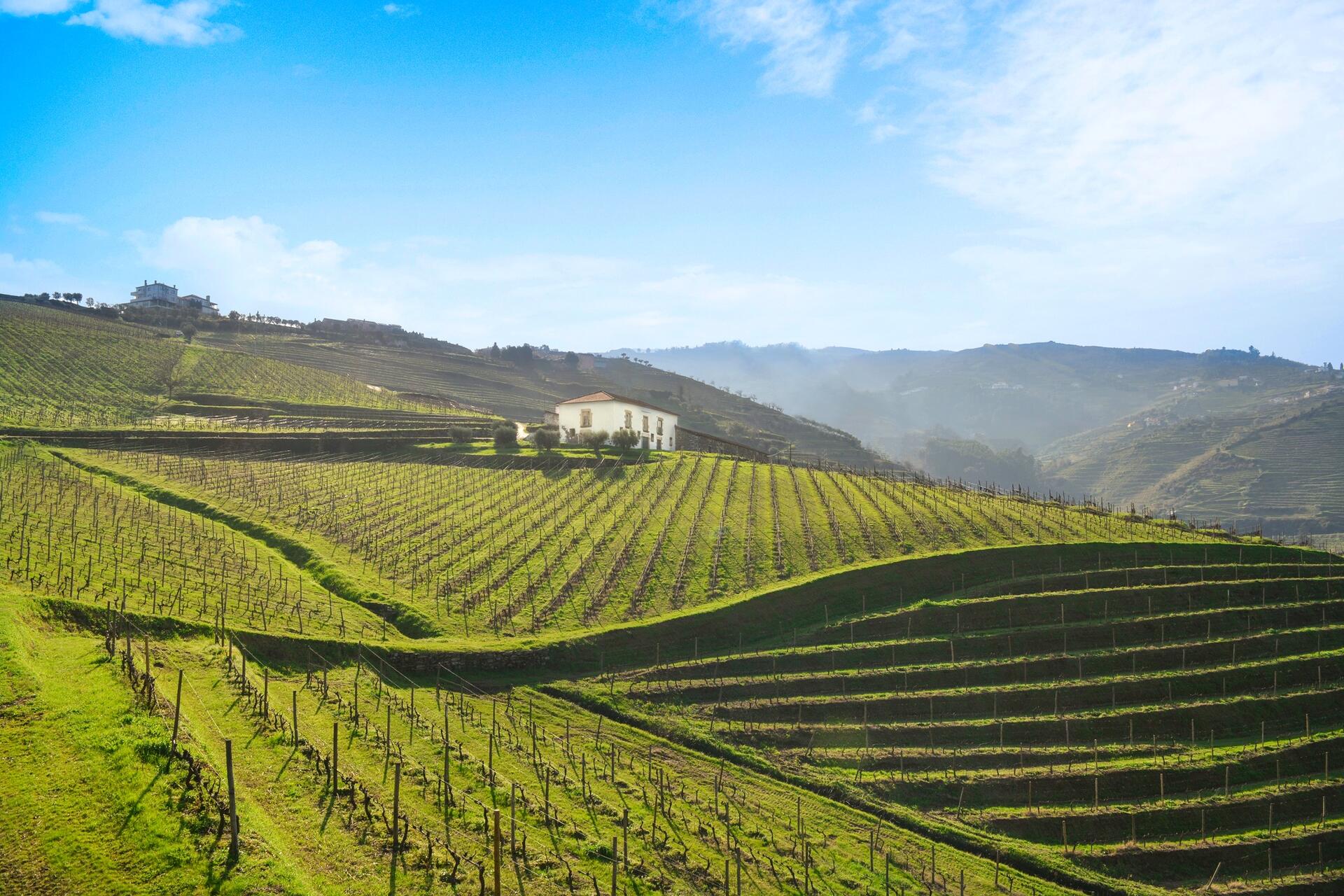 Quinta do Mourão – Prova “Mother & Sons”