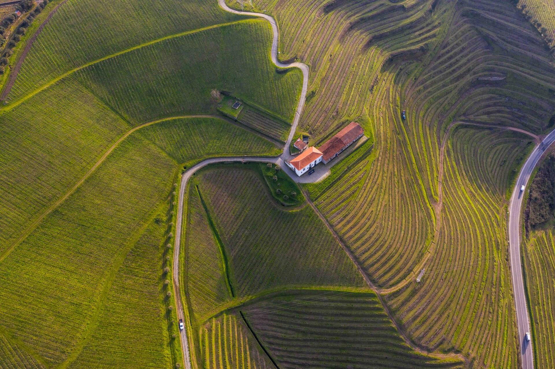 Quinta do Mourão – Prova Gold