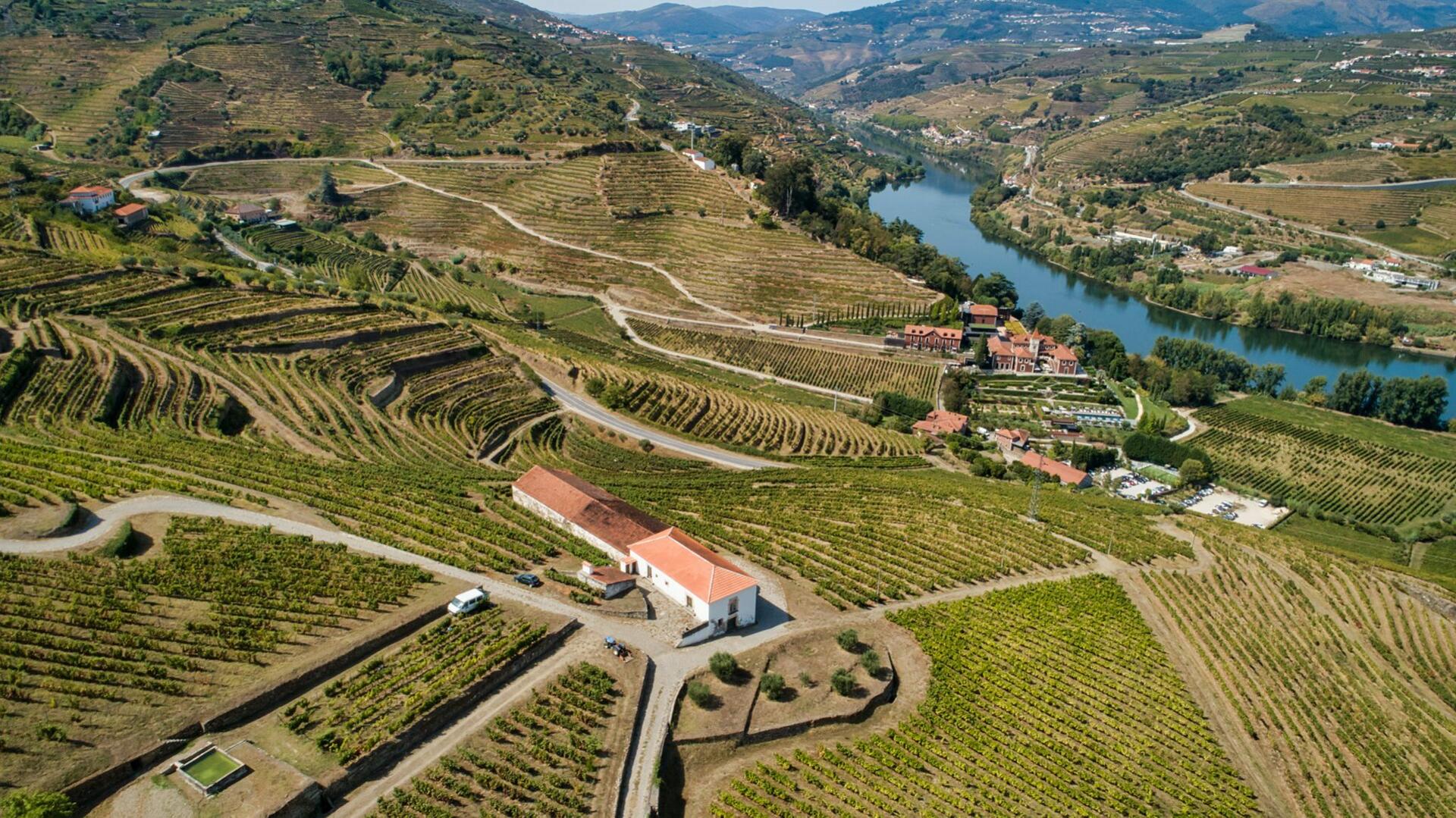 Quinta do Mourão – Prova Gold