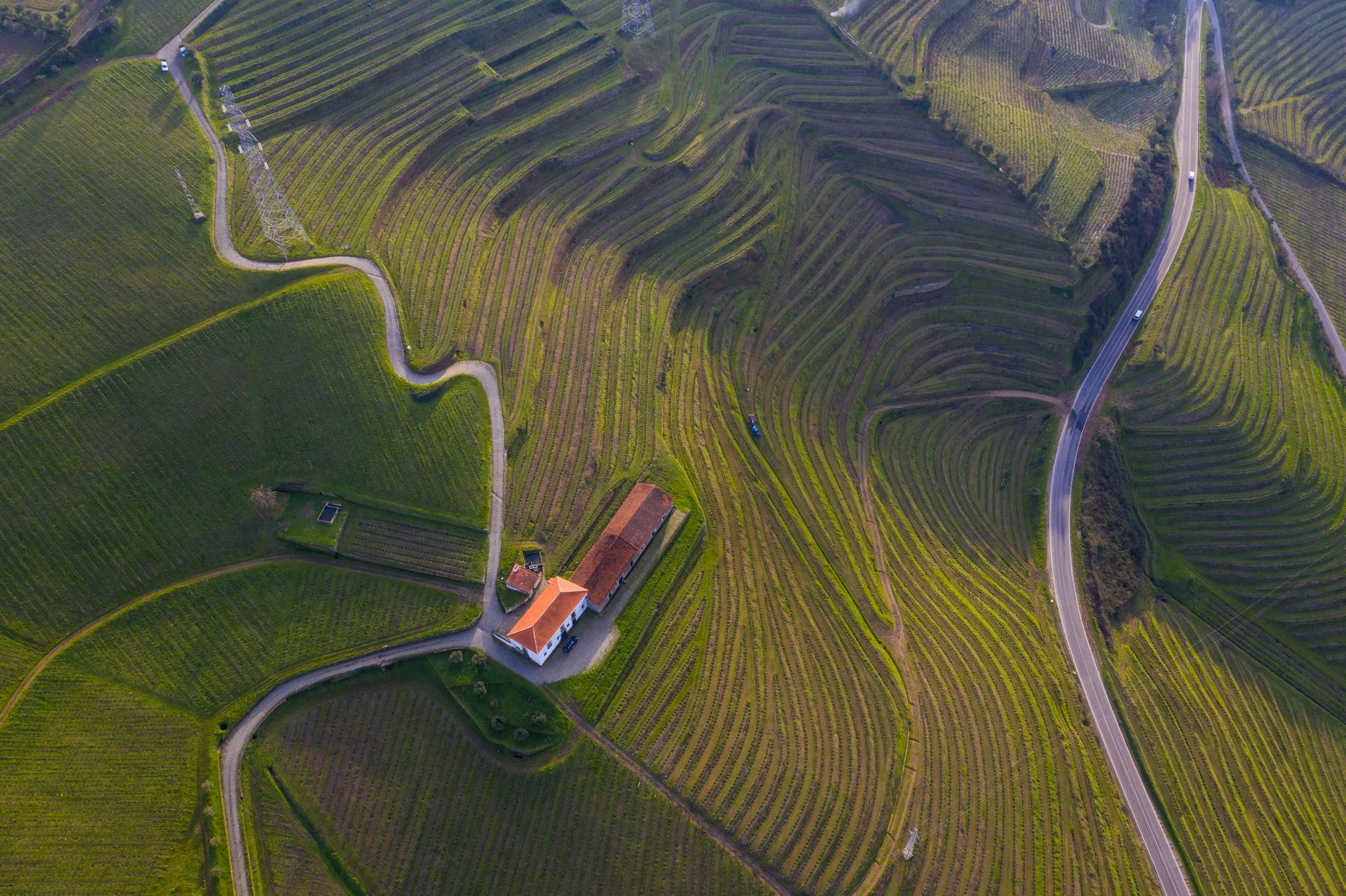 Quinta do Mourão – Prova Port Experience