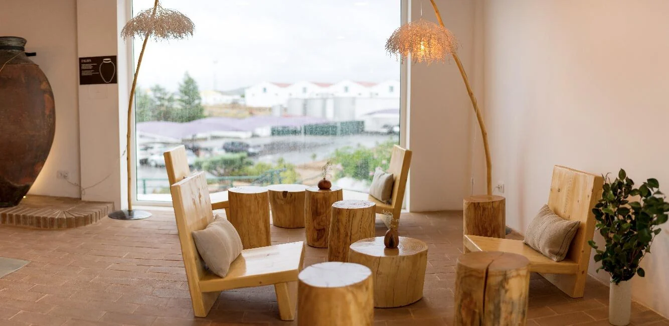 Adega de Vidigueira – Visita & Prova Antão Vaz