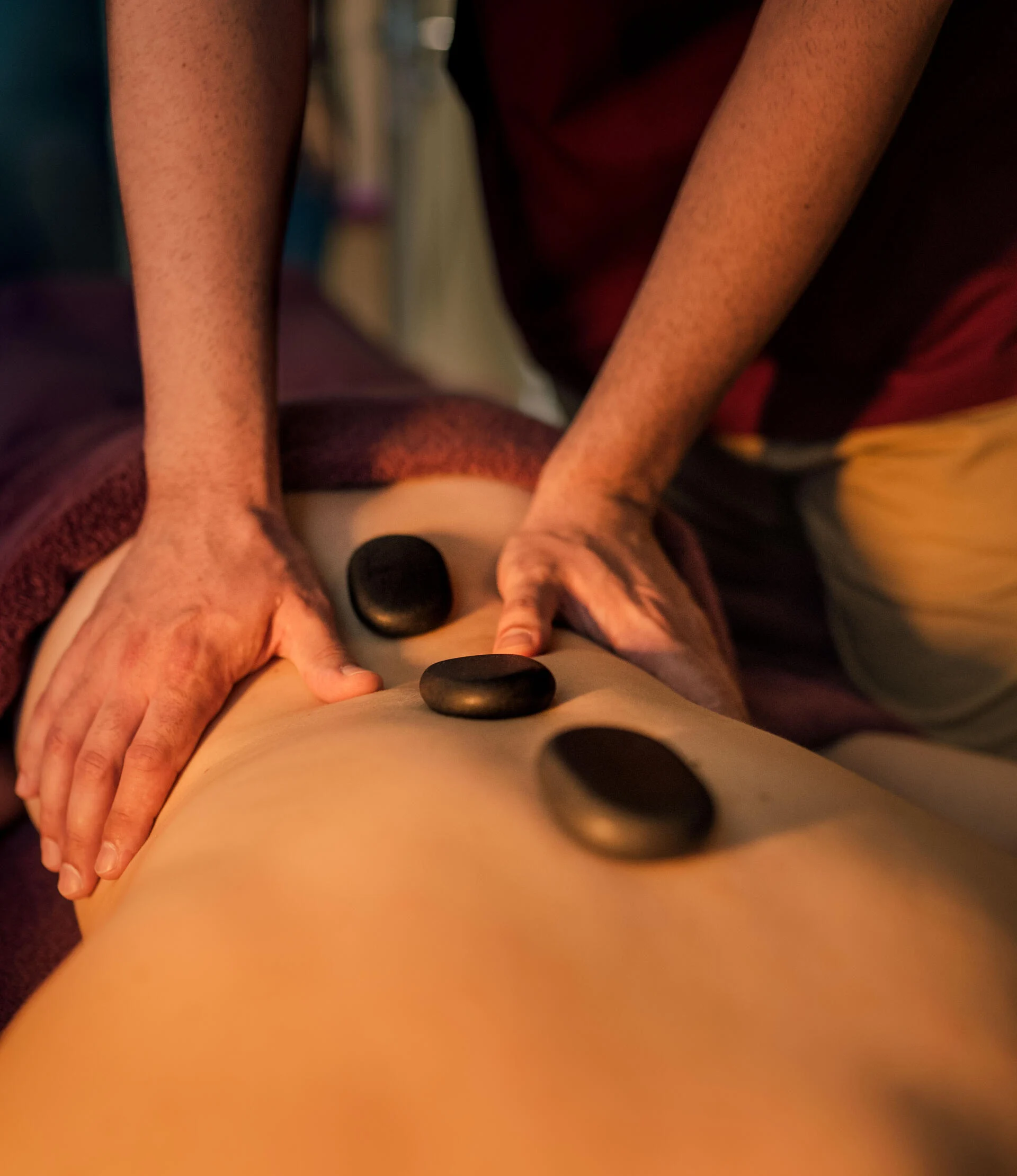 Quinta da Pacheca – Vineyard Grape Experience