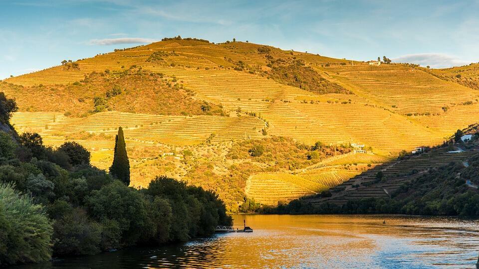 Douro Exclusive