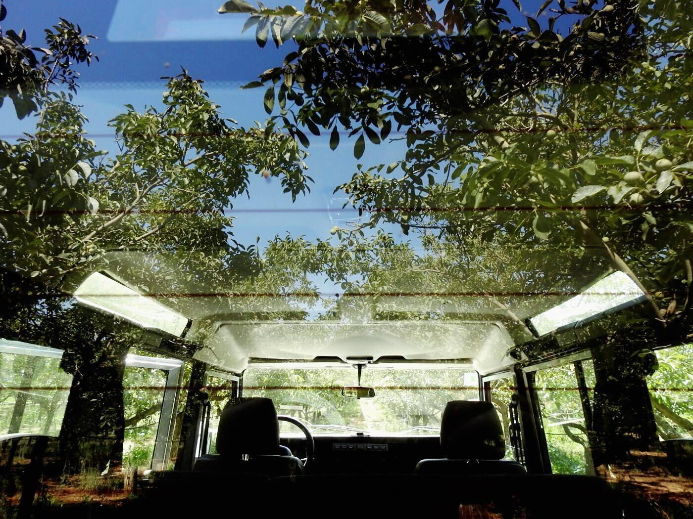 Tapada de Coelheiros – Visita & Prova Clássica