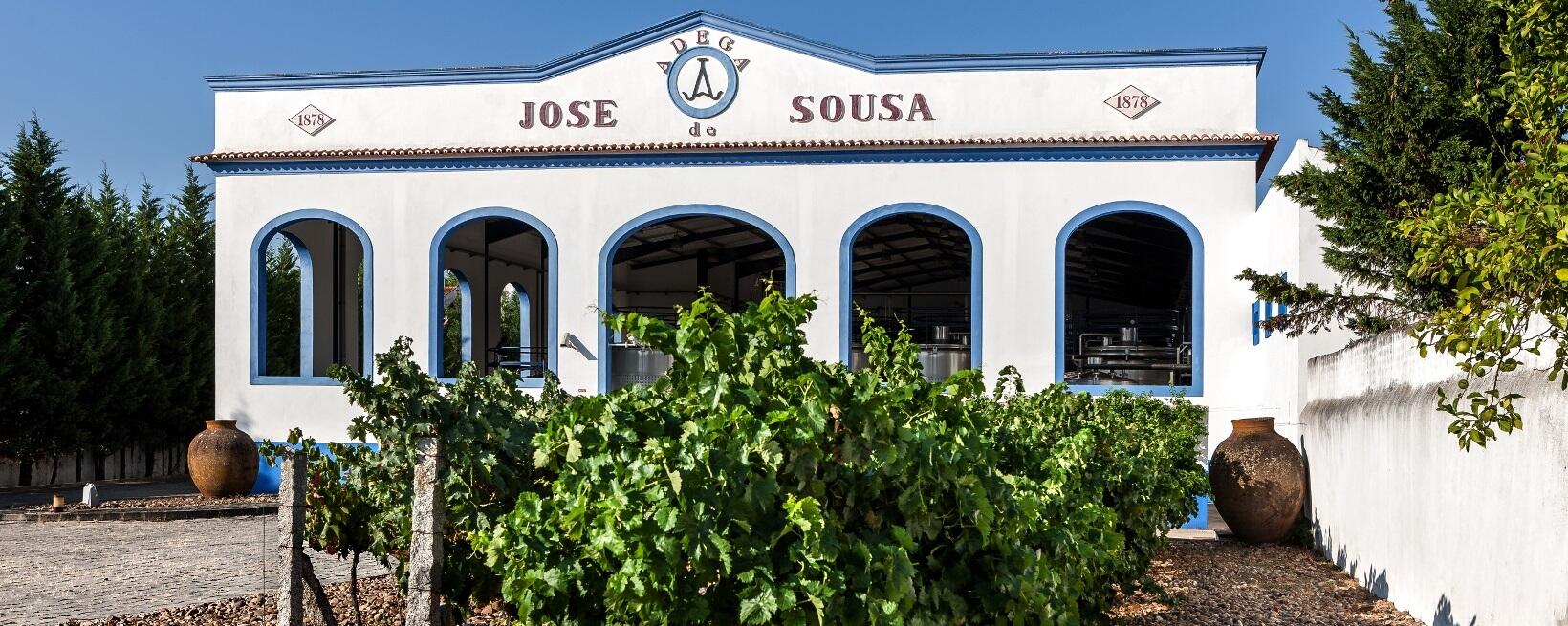 Adega José de Sousa – Programa de Vindimas